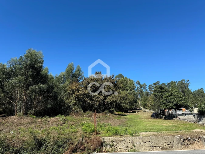 Terreno para Venda em Nespereira e Casais Foto 15