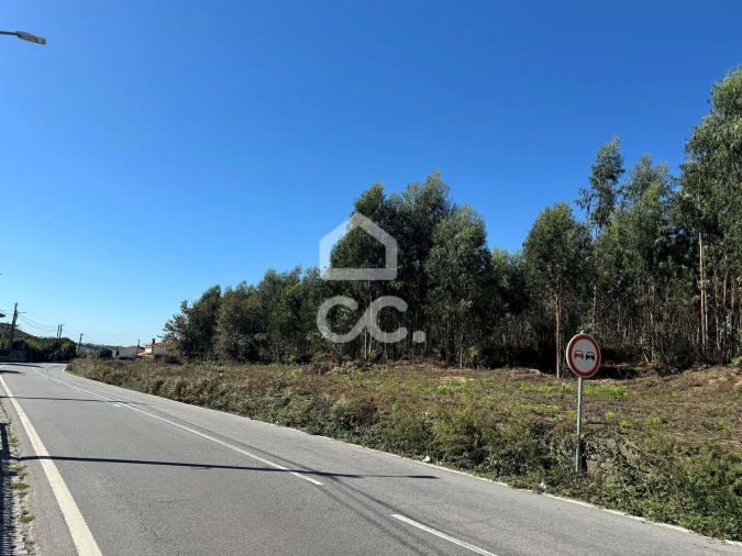 Terreno para Venda em Nespereira e Casais Foto 14