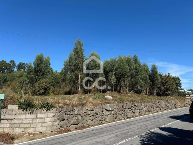 Terreno para Venda em Nespereira e Casais Foto 10