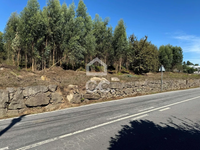 Terreno para Venda em Nespereira e Casais Foto 1