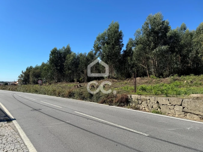 Terreno para Venda em Nespereira e Casais Foto 16