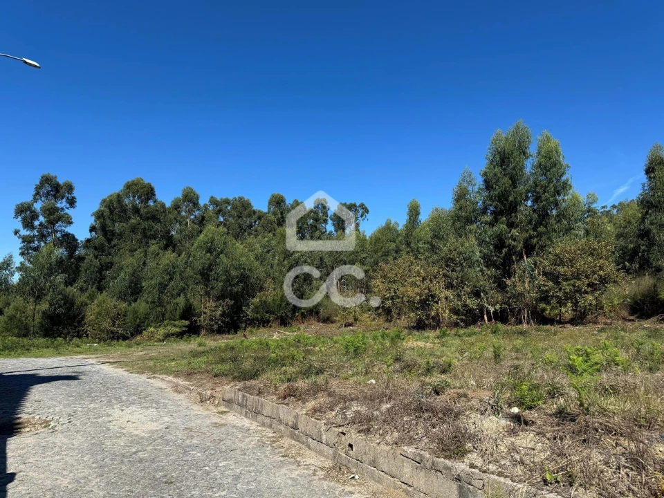 Terreno para Venda em Nespereira e Casais Foto 8