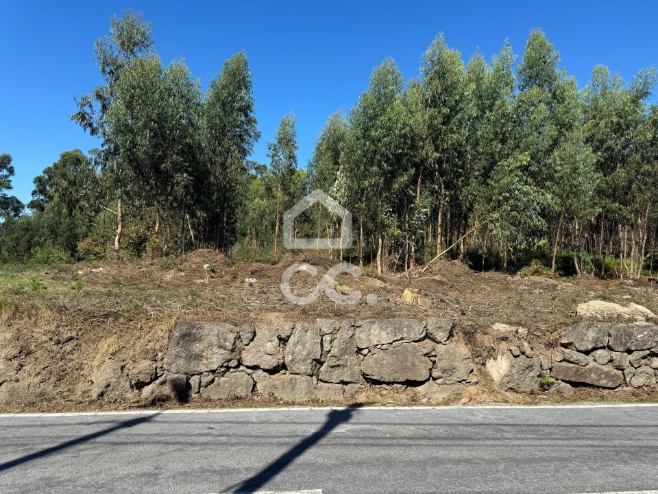 Terreno para Venda em Nespereira e Casais Foto 2