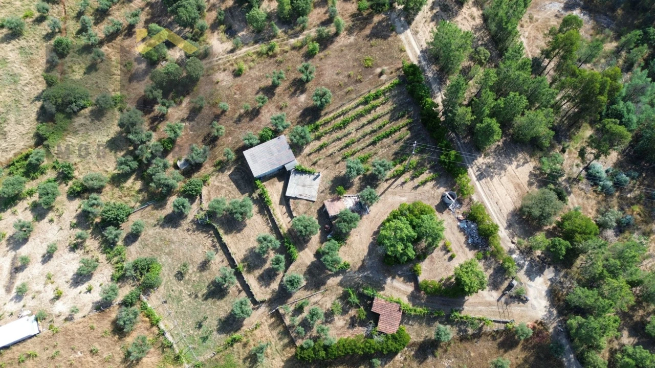 Quinta T0 para Venda em Freixial e Juncal do Campo Foto 1
