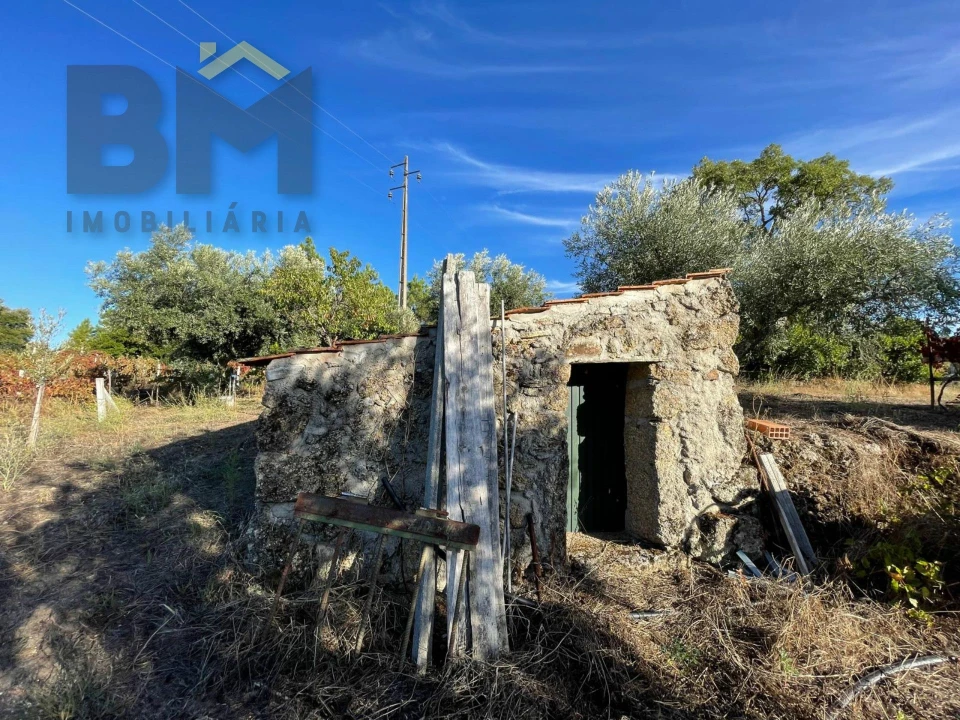 Quinta T0 para Venda em Freixial e Juncal do Campo Foto 14