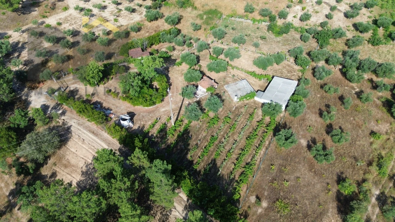 Quinta T0 para Venda em Freixial e Juncal do Campo Foto 36