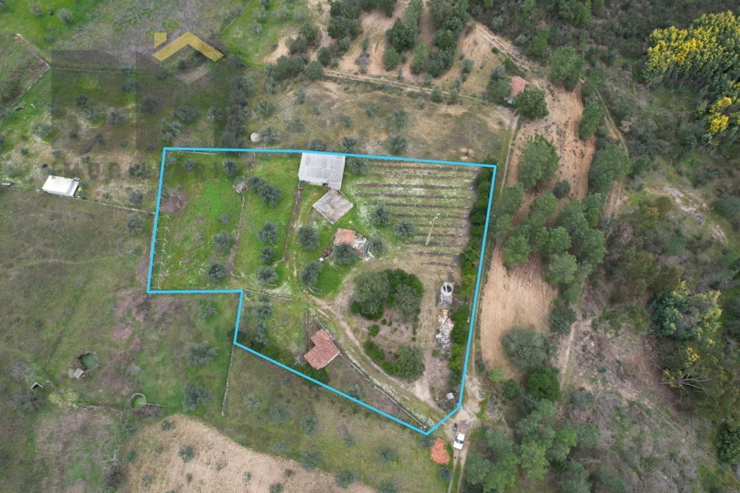 Quinta T0 para Venda em Freixial e Juncal do Campo Foto 2