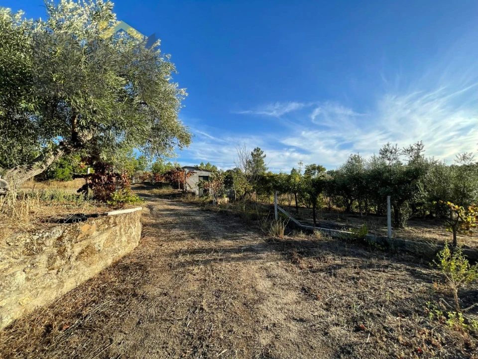 Quinta T0 para Venda em Freixial e Juncal do Campo Foto 32