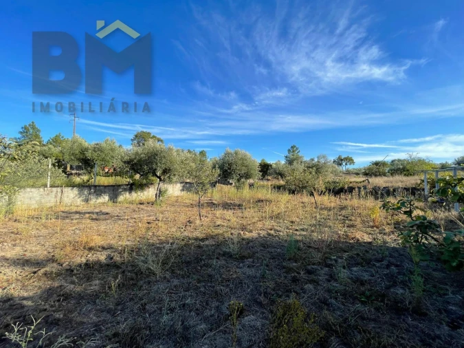 Quinta T0 para Venda em Freixial e Juncal do Campo Foto 30