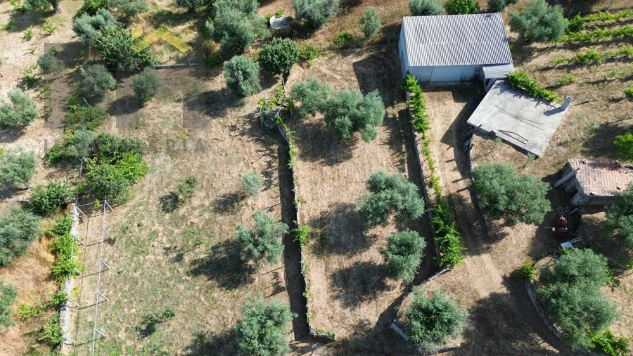 Quinta T0 para Venda em Freixial e Juncal do Campo Foto 38