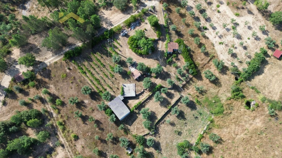 Quinta T0 para Venda em Freixial e Juncal do Campo Foto 37