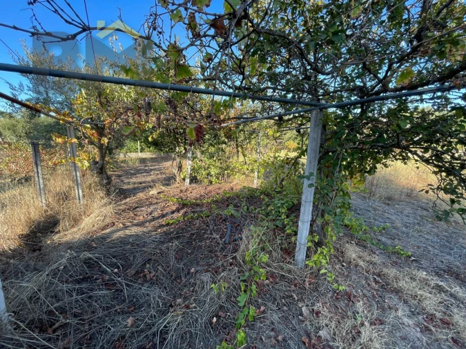 Quinta T0 para Venda em Freixial e Juncal do Campo Foto 29