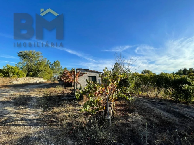 Quinta T0 para Venda em Freixial e Juncal do Campo Foto 33