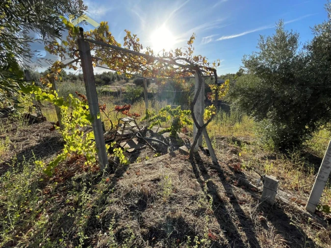 Quinta T0 para Venda em Freixial e Juncal do Campo Foto 27