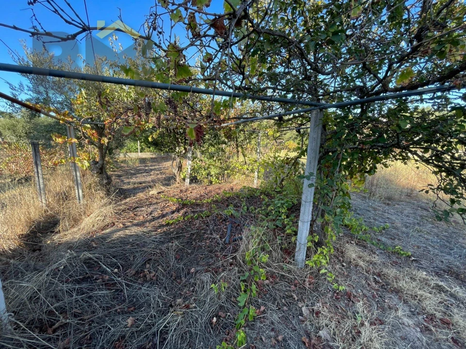 Quinta T0 para Venda em Freixial e Juncal do Campo Foto 29