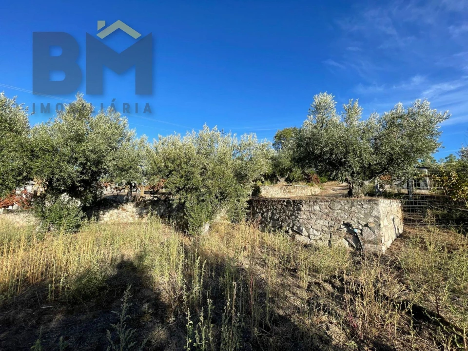 Quinta T0 para Venda em Freixial e Juncal do Campo Foto 31