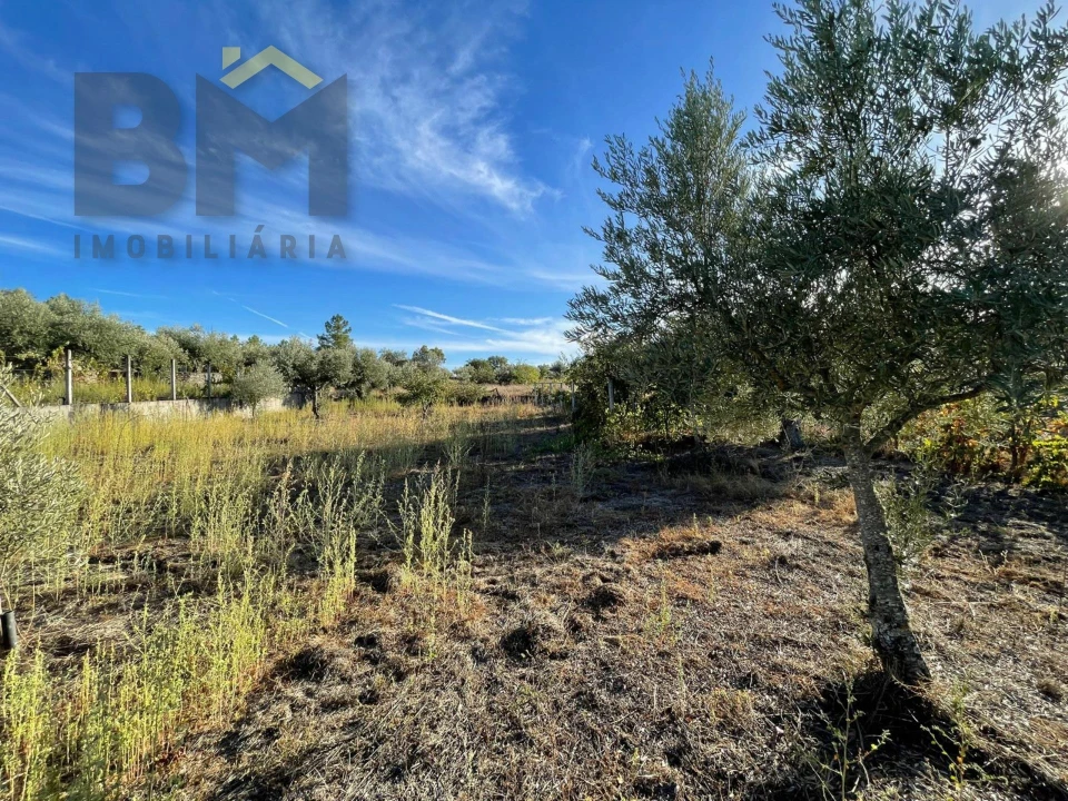 Quinta T0 para Venda em Freixial e Juncal do Campo Foto 28