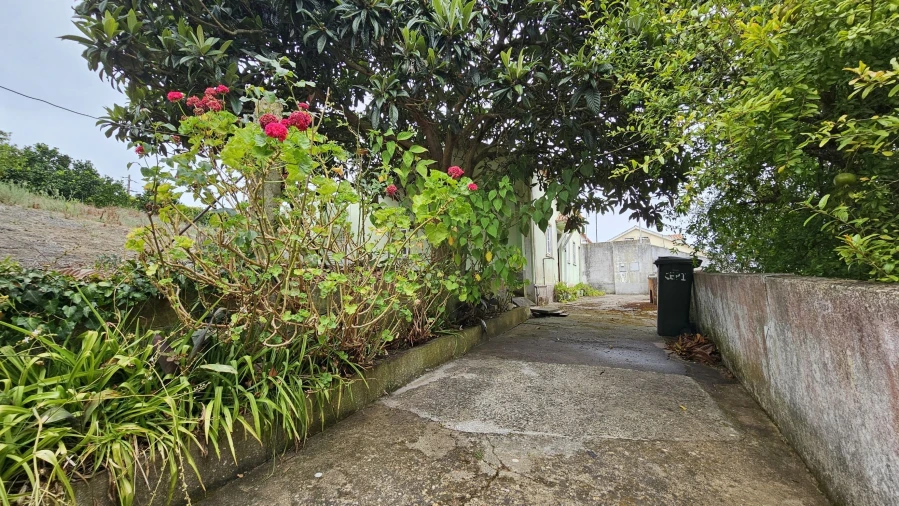 Quinta T6 para Venda em Lamas e Cercal Foto 18