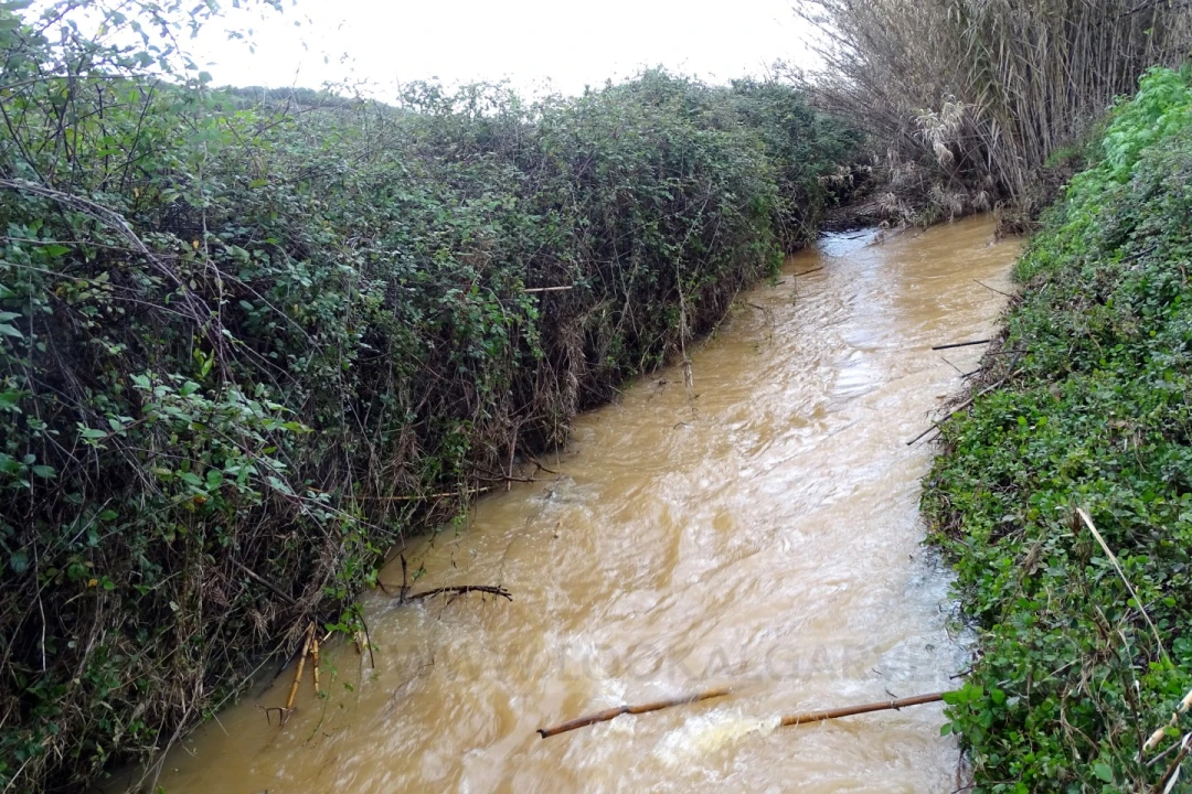 Quinta T4 para Venda em Mexilhoeira Grande Foto 15