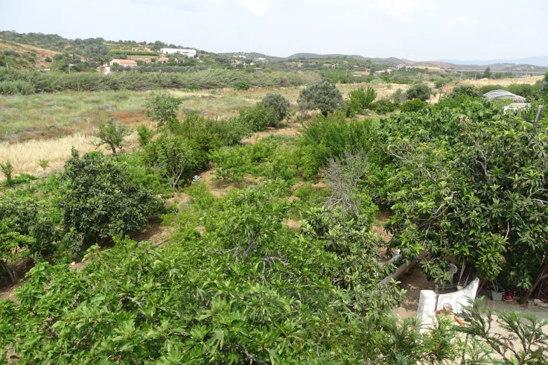 Quinta T4 para Venda em Mexilhoeira Grande Foto 3