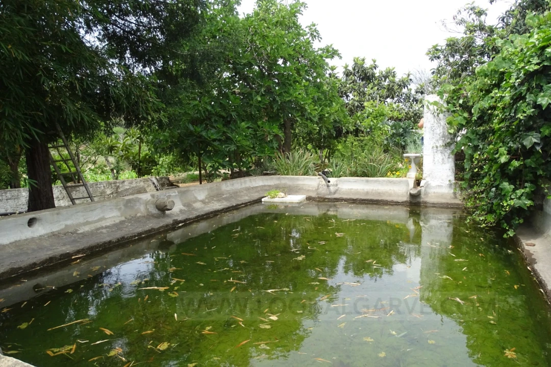 Quinta T4 para Venda em Mexilhoeira Grande Foto 17