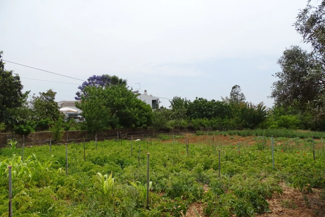 Quinta T4 para Venda em Mexilhoeira Grande Foto 11