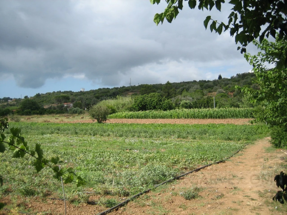 Quinta T4 para Venda em Mexilhoeira Grande Foto 12