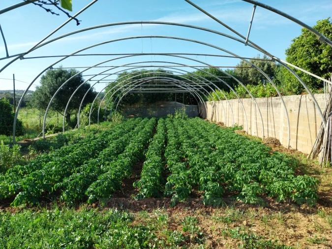 Quinta T4 para Venda em Mexilhoeira Grande Foto 9