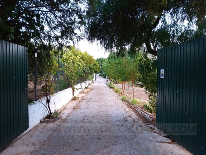 Quinta T4 para Venda em Mexilhoeira Grande Foto 14