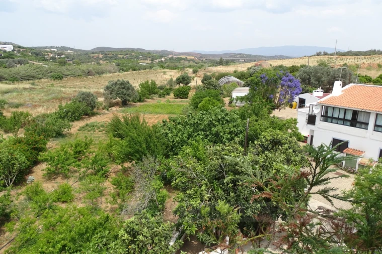 Quinta T4 para Venda em Mexilhoeira Grande Foto 2