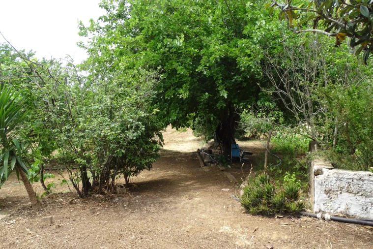 Quinta T4 para Venda em Mexilhoeira Grande Foto 7