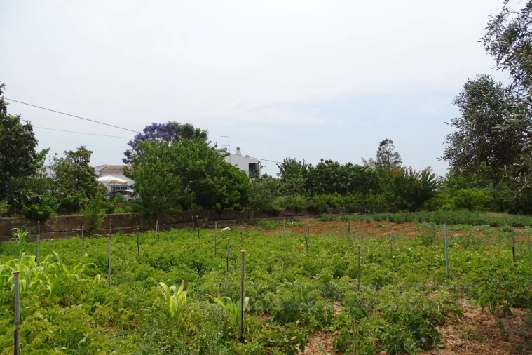 Quinta T4 para Venda em Mexilhoeira Grande Foto 11