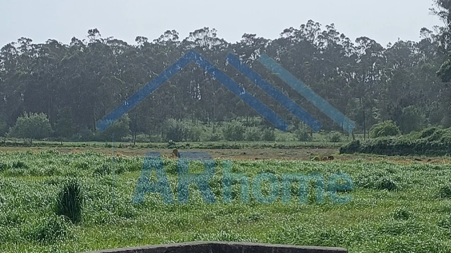 Terreno para Venda em Labruge