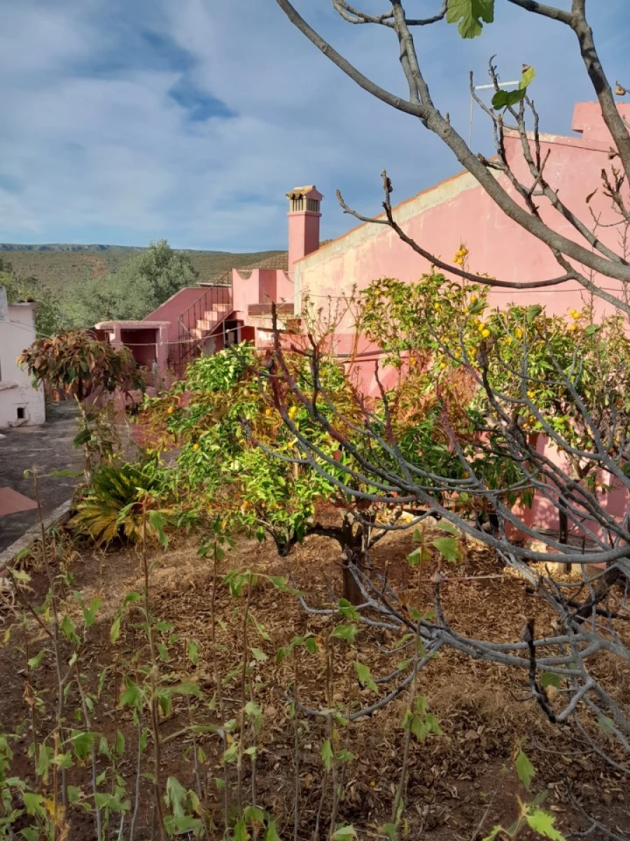 Moradia T4 para Venda em Querença, Tôr e Benafim Foto 18