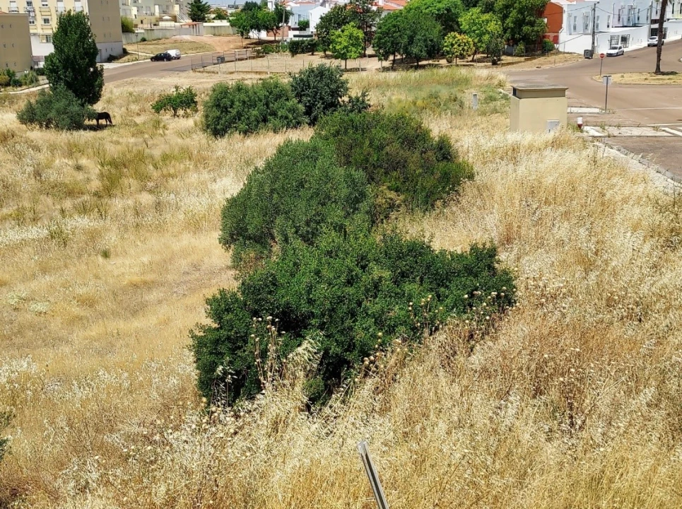 Terreno para Venda em Assunção, Ajuda, Salvador e Santo Ildefonso Foto 4