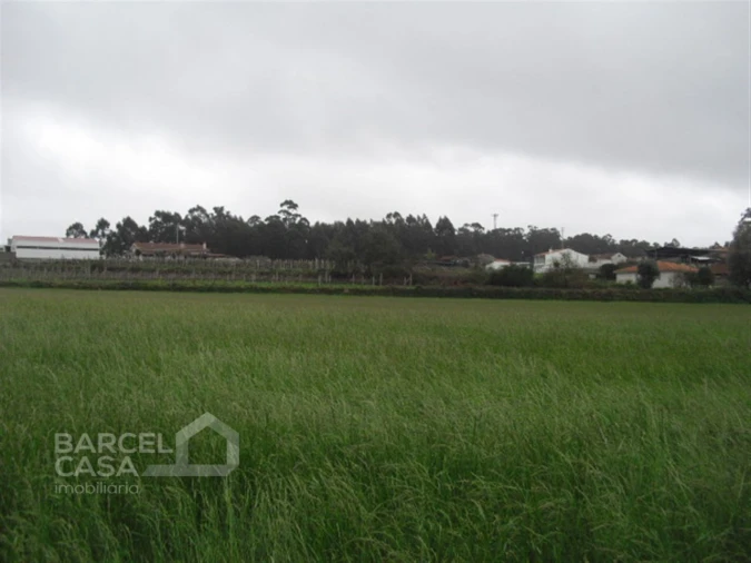Terreno para Venda em Vila Cova e Feitos Foto 2