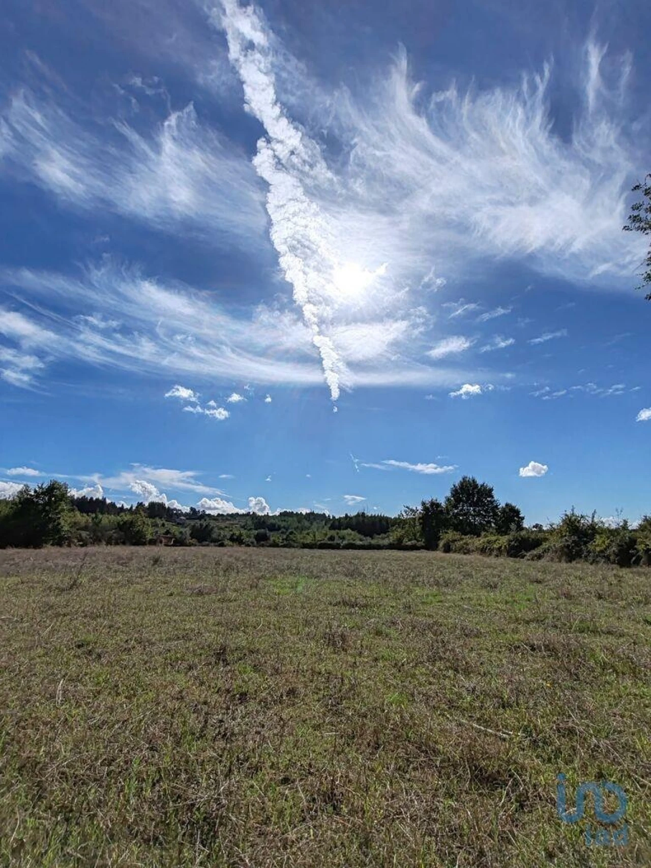 Terreno para Venda em Seixo da Beira Foto 11