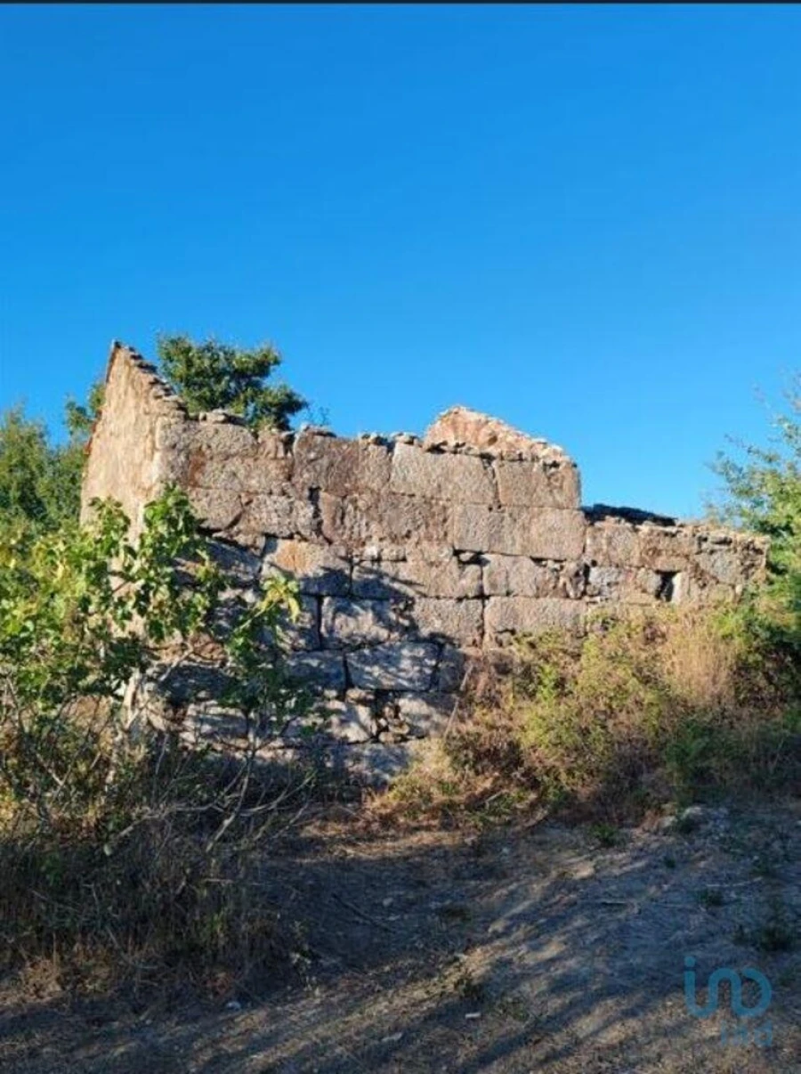Terreno para Venda em Seixo da Beira Foto 3