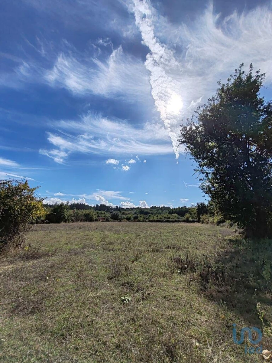 Terreno para Venda em Seixo da Beira Foto 7