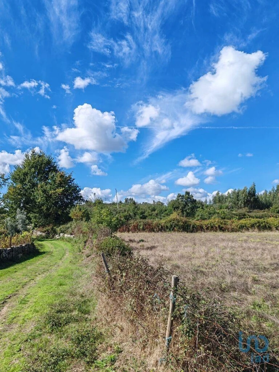 Terreno para Venda em Seixo da Beira Foto 9