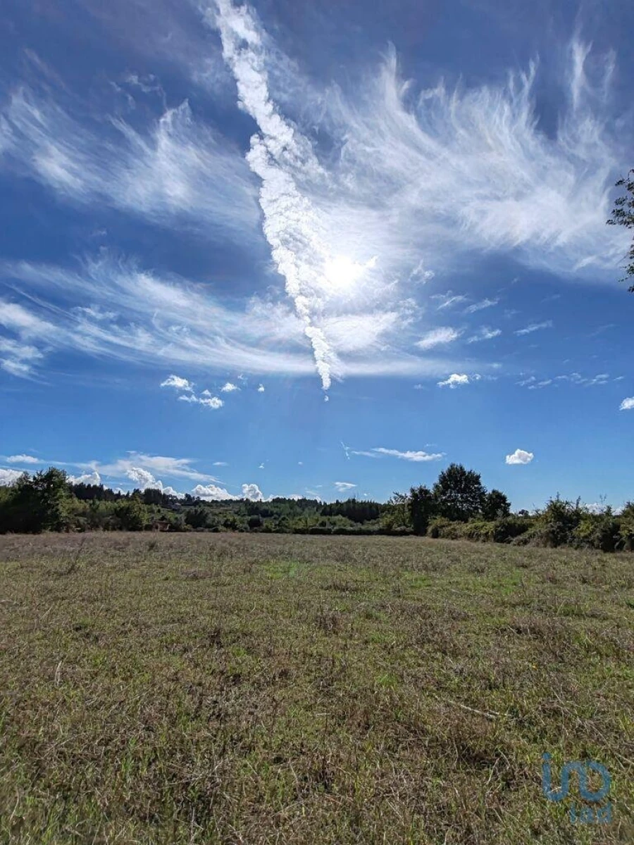 Terreno para Venda em Seixo da Beira Foto 11
