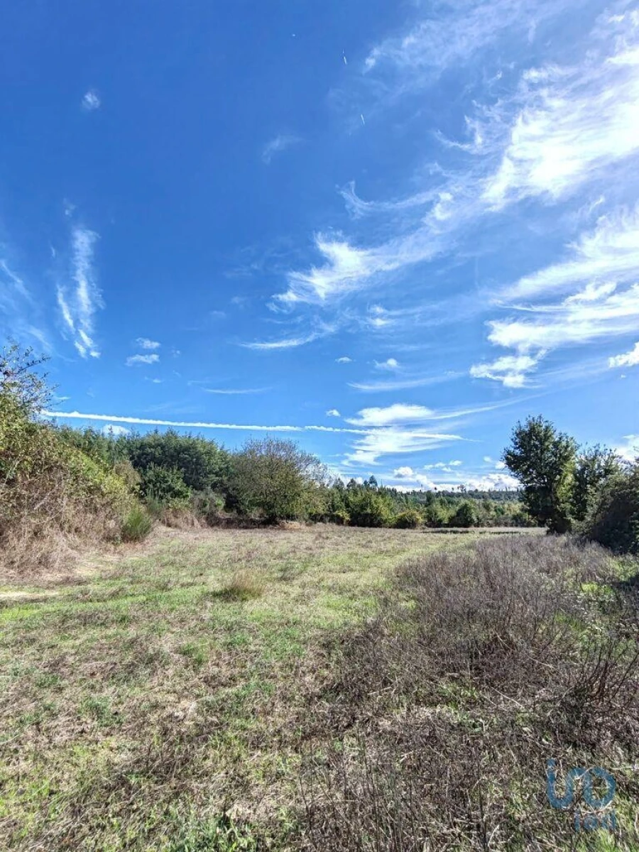 Terreno para Venda em Seixo da Beira Foto 8