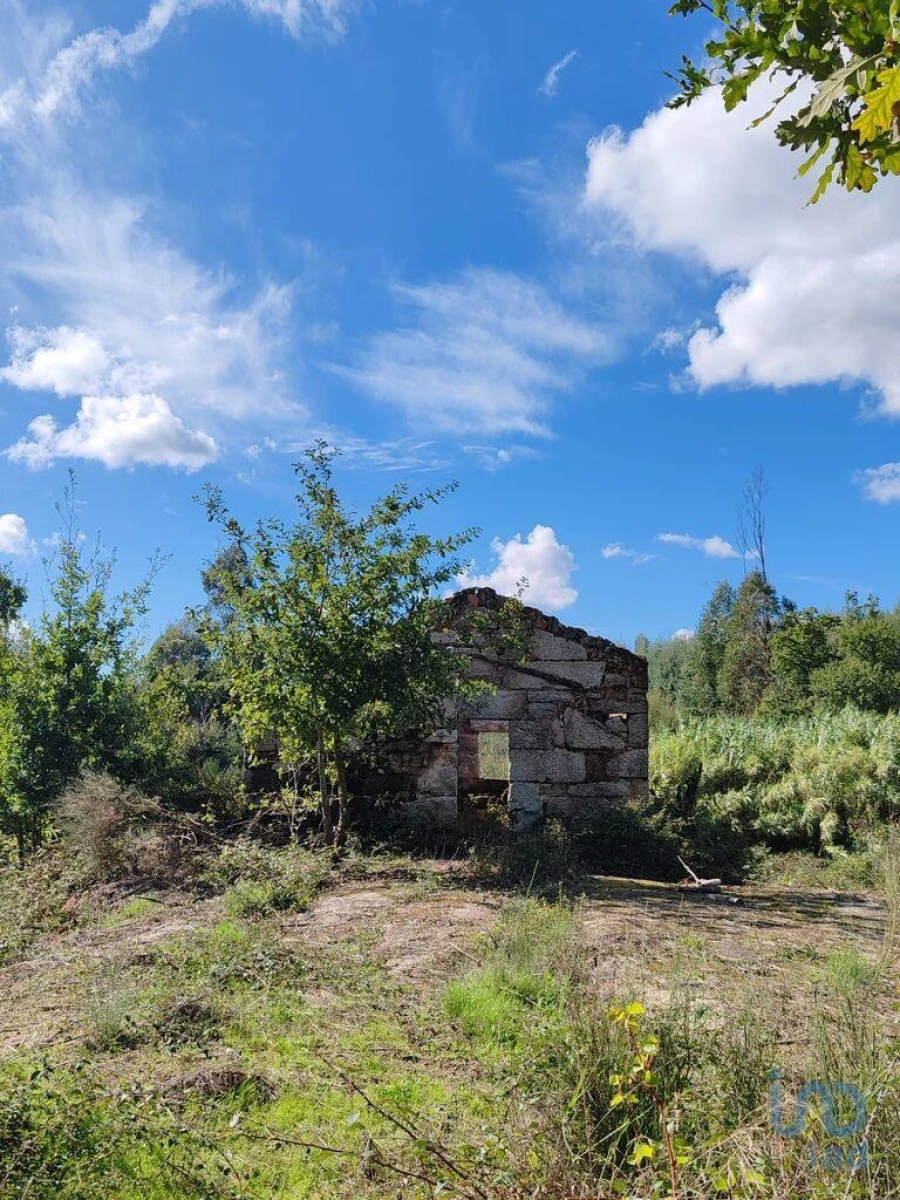 Terreno para Venda em Seixo da Beira Foto 2