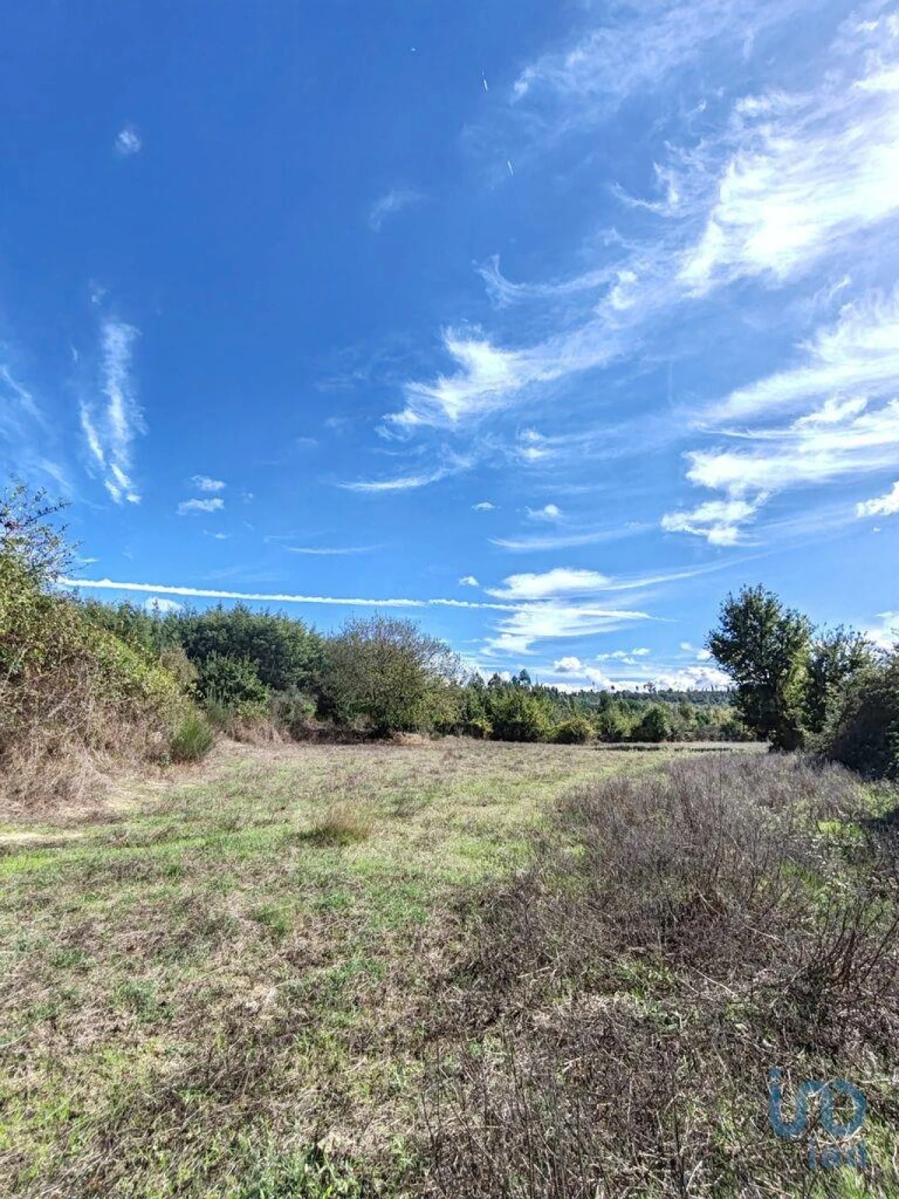 Terreno para Venda em Seixo da Beira Foto 8