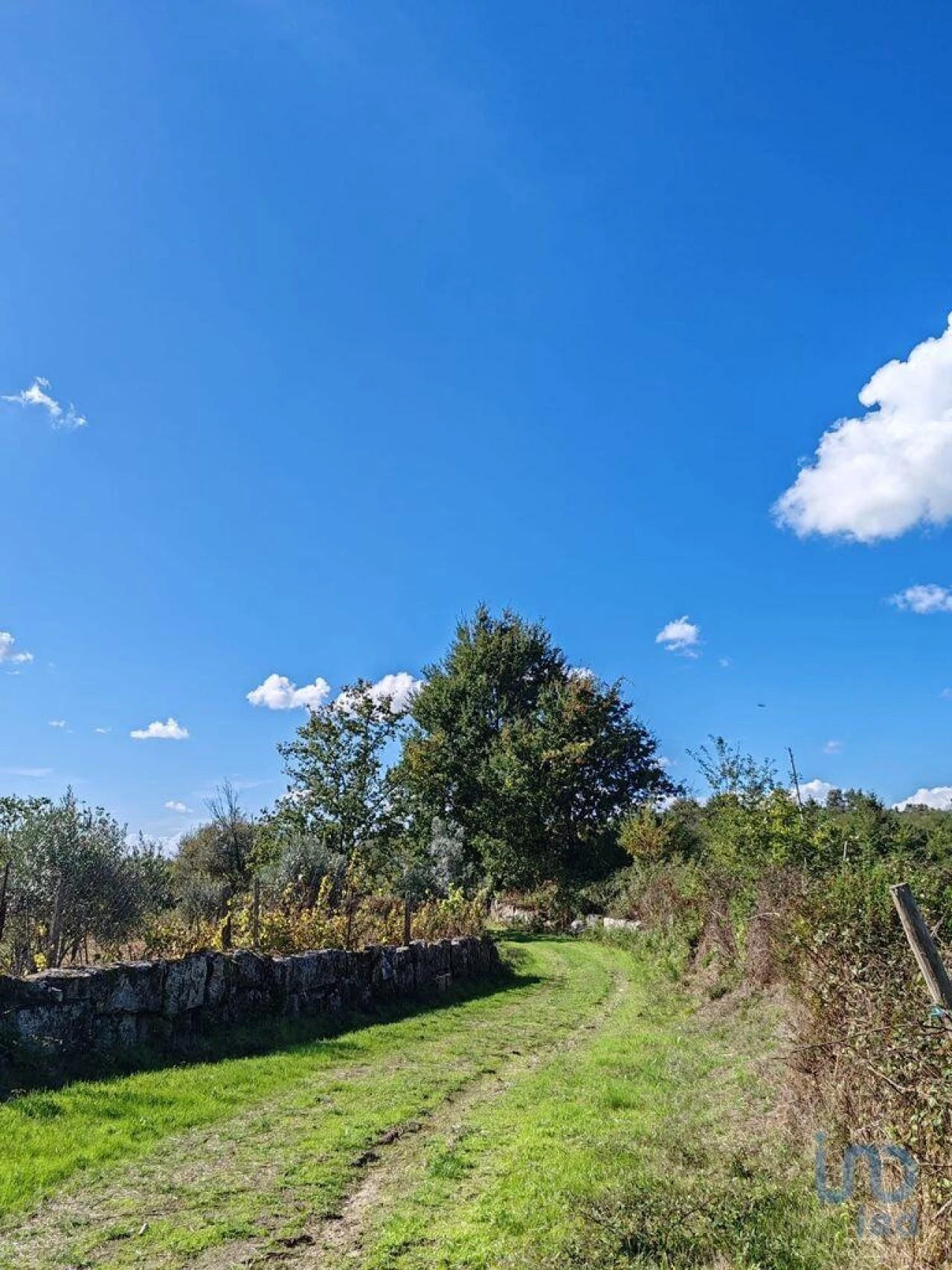 Terreno para Venda em Seixo da Beira Foto 12