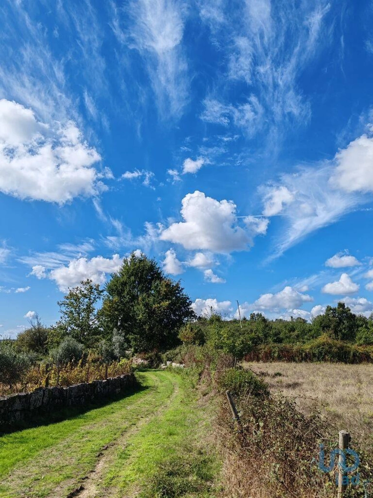 Terreno para Venda em Seixo da Beira Foto 1