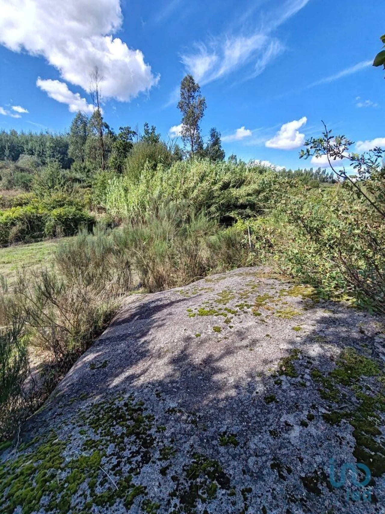 Terreno para Venda em Seixo da Beira Foto 10