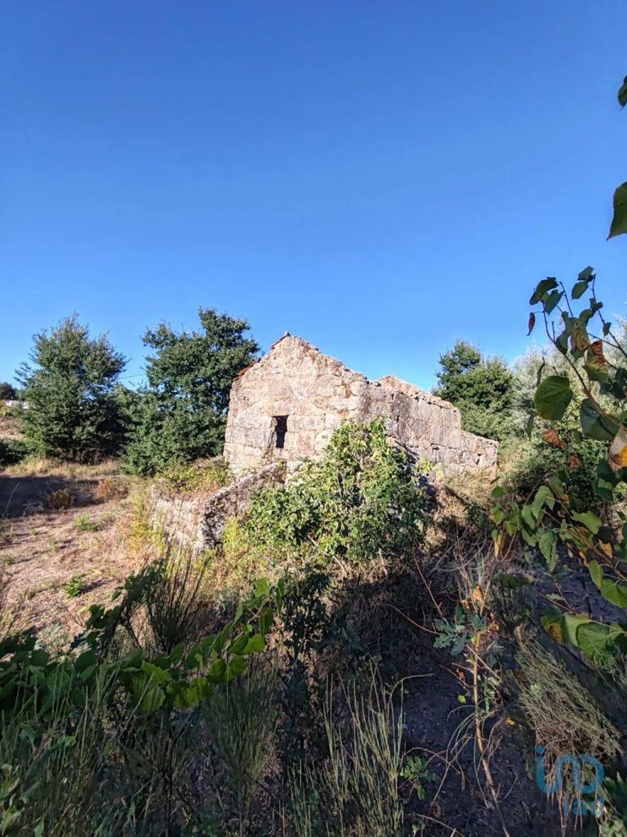 Terreno para Venda em Seixo da Beira Foto 4