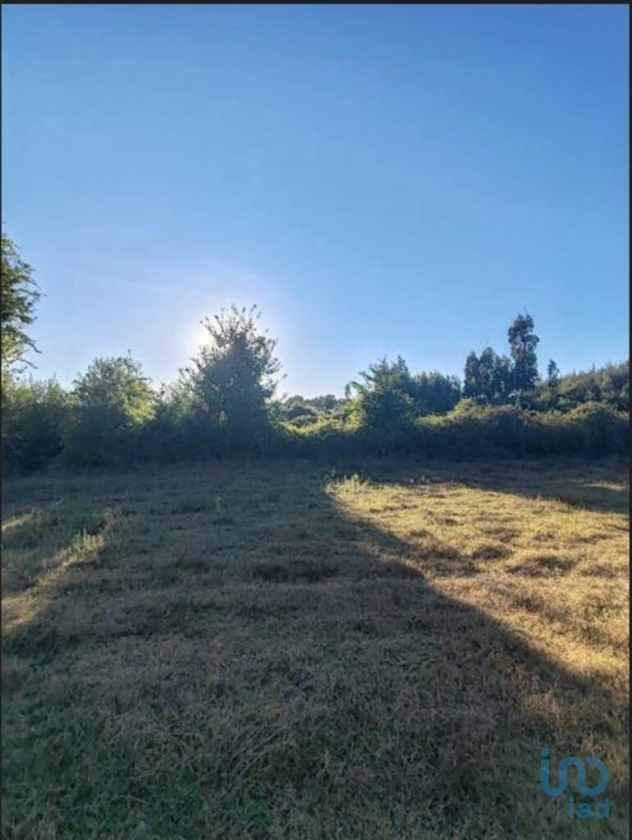 Terreno para Venda em Seixo da Beira Foto 5