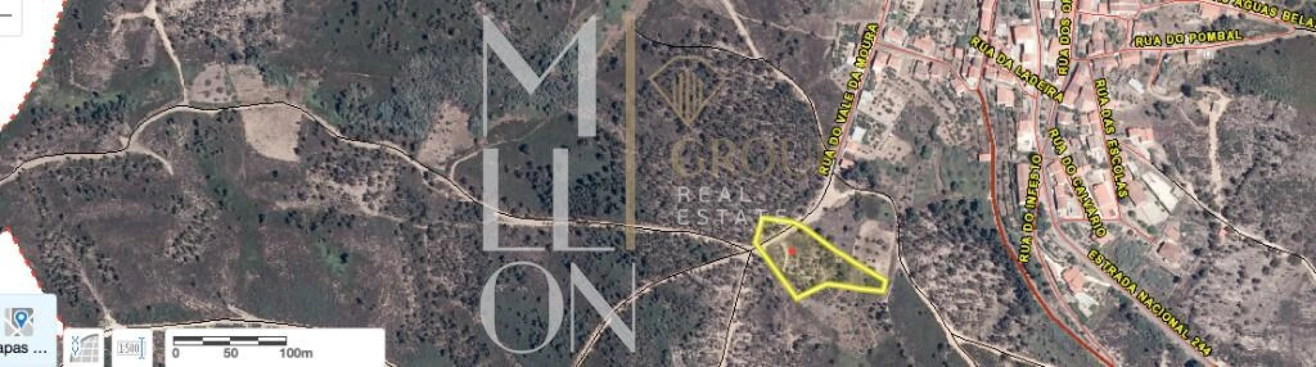 Terreno para Venda em Amendoa Foto 8